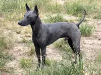 processed/d8c5a45d-9499-4f1c-b102-2b7a7618b096/listing/1abb6d3b-d143-41d5-a029-febb31458ea7/580509c0-a463-4803-8fa7-a258bbf29b50