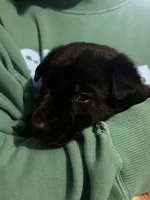 processed/d8c5a45d-9499-4f1c-b102-2b7a7618b096/listing/1abb6d3b-d143-41d5-a029-febb31458ea7/748e205a-0c54-48fc-b831-8ed104cdbe9e