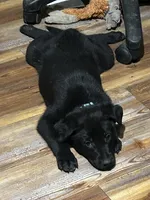 processed/d8c5a45d-9499-4f1c-b102-2b7a7618b096/listing/1abb6d3b-d143-41d5-a029-febb31458ea7/cc481001-218b-48e1-863b-01e8e8d9b83c