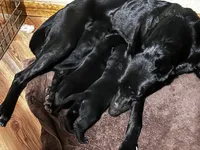 processed/d8c5a45d-9499-4f1c-b102-2b7a7618b096/listing/1abb6d3b-d143-41d5-a029-febb31458ea7/cf4f168d-1ce4-4610-8202-8e943ffe4f17