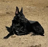 processed/d8c5a45d-9499-4f1c-b102-2b7a7618b096/listing/1abb6d3b-d143-41d5-a029-febb31458ea7/f0264a9c-1097-4666-b5eb-31f6b3adea01