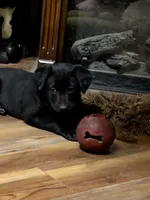 processed/d8c5a45d-9499-4f1c-b102-2b7a7618b096/listing/52fc1b39-6851-42bb-abab-a8c66f80014f/31150650-a75c-4685-81a4-a134c095ea14