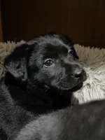 processed/d8c5a45d-9499-4f1c-b102-2b7a7618b096/listing/52fc1b39-6851-42bb-abab-a8c66f80014f/471d91a5-58da-4691-b0fd-f897db3484b0