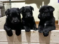 processed/d8c5a45d-9499-4f1c-b102-2b7a7618b096/listing/52fc1b39-6851-42bb-abab-a8c66f80014f/9c79caf0-53e8-4c07-9d89-cb12a3586ffa