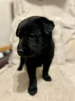 processed/d8c5a45d-9499-4f1c-b102-2b7a7618b096/listing/52fc1b39-6851-42bb-abab-a8c66f80014f/9e93e83a-b8f4-41f0-ac6d-e3e546d34204