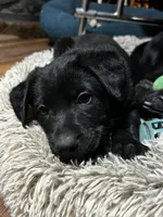 processed/d8c5a45d-9499-4f1c-b102-2b7a7618b096/listing/52fc1b39-6851-42bb-abab-a8c66f80014f/f148d9ee-f3fd-4ec7-b45c-aa818006794d