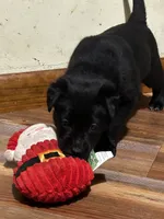 processed/d8c5a45d-9499-4f1c-b102-2b7a7618b096/listing/52fc1b39-6851-42bb-abab-a8c66f80014f/f51268c2-9449-4256-a84a-480a8921becc