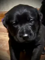 processed/d8c5a45d-9499-4f1c-b102-2b7a7618b096/listing/52fc1b39-6851-42bb-abab-a8c66f80014f/fce69327-fff4-4e9a-abae-4c2434475828