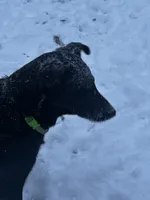 processed/d8c5a45d-9499-4f1c-b102-2b7a7618b096/listing/5ed2e1c3-f860-4289-a58a-9aa7274e956c/3774d9cc-3b67-4121-83e9-1a6bd0339851