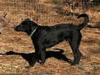 processed/d8c5a45d-9499-4f1c-b102-2b7a7618b096/listing/5ed2e1c3-f860-4289-a58a-9aa7274e956c/3f5dd831-a644-4e62-b7c3-d6992e390586