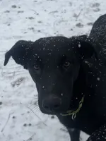 processed/d8c5a45d-9499-4f1c-b102-2b7a7618b096/listing/5ed2e1c3-f860-4289-a58a-9aa7274e956c/6cb25549-825c-4782-8c1c-7b143732251e