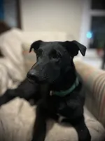 processed/d8c5a45d-9499-4f1c-b102-2b7a7618b096/listing/5ed2e1c3-f860-4289-a58a-9aa7274e956c/a3530cda-4ac6-4137-bd26-82a4d56fb793