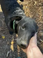 processed/d8c5a45d-9499-4f1c-b102-2b7a7618b096/listing/5ed2e1c3-f860-4289-a58a-9aa7274e956c/a7dd5d31-e6ab-4e6d-8e7a-a4833ac7077b