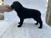 processed/d8c5a45d-9499-4f1c-b102-2b7a7618b096/listing/5ed2e1c3-f860-4289-a58a-9aa7274e956c/bf97a0c5-695c-4c52-978f-fdd32ad07701