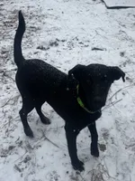 processed/d8c5a45d-9499-4f1c-b102-2b7a7618b096/listing/5ed2e1c3-f860-4289-a58a-9aa7274e956c/d5070686-ba96-43d5-a18a-2ce126253b15