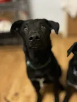 processed/d8c5a45d-9499-4f1c-b102-2b7a7618b096/listing/5ed2e1c3-f860-4289-a58a-9aa7274e956c/efe74fe5-8175-4fb7-bd34-e276c71fd1a6