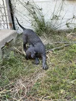 processed/d8c5a45d-9499-4f1c-b102-2b7a7618b096/listing/6bbfea0f-4f3d-4032-8835-c651caf810ee/0b2b9c59-de81-4ac4-8340-da929295f8c3