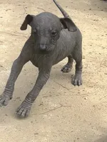 processed/d8c5a45d-9499-4f1c-b102-2b7a7618b096/listing/6bbfea0f-4f3d-4032-8835-c651caf810ee/46b64409-f03f-407c-8397-f93ad73dc502