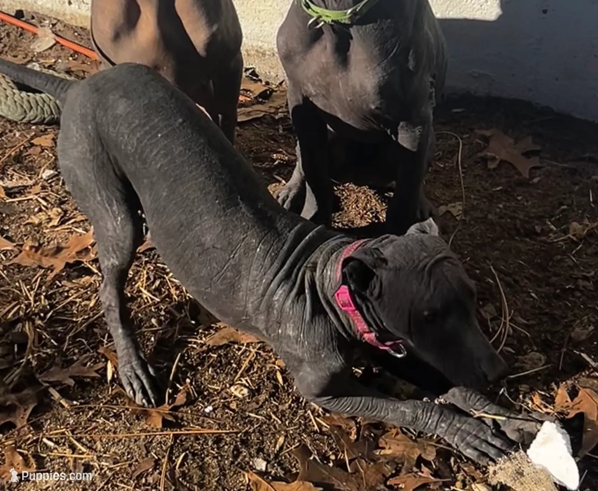 processed/d8c5a45d-9499-4f1c-b102-2b7a7618b096/listing/6bbfea0f-4f3d-4032-8835-c651caf810ee/7ad66e67-f8cd-417d-896e-b29206a9daab