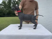 processed/d8c5a45d-9499-4f1c-b102-2b7a7618b096/listing/6bbfea0f-4f3d-4032-8835-c651caf810ee/84341a9d-ae7d-4437-9df9-ed644a5af358