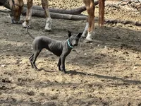 processed/d8c5a45d-9499-4f1c-b102-2b7a7618b096/listing/6bbfea0f-4f3d-4032-8835-c651caf810ee/ee80e8d0-a8d8-4ab8-aec4-558ca92b2795