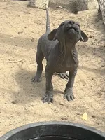 processed/d8c5a45d-9499-4f1c-b102-2b7a7618b096/listing/6bbfea0f-4f3d-4032-8835-c651caf810ee/feab4a73-b4c1-45bc-a79b-5dfec3129b43