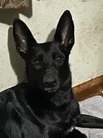 processed/d8c5a45d-9499-4f1c-b102-2b7a7618b096/listing/af7c512e-f87d-47fc-bce4-97d33993c438/483ab729-ef21-4871-94f3-4fee24c84165