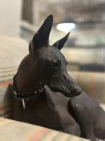 processed/d8c5a45d-9499-4f1c-b102-2b7a7618b096/listing/af7c512e-f87d-47fc-bce4-97d33993c438/50644f2c-219c-4b08-b7d6-c2aca4c3bffc