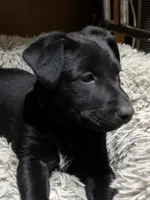 processed/d8c5a45d-9499-4f1c-b102-2b7a7618b096/listing/af7c512e-f87d-47fc-bce4-97d33993c438/6f5b74f6-8258-445d-a6ca-e45fa89723b6