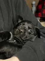 processed/d8c5a45d-9499-4f1c-b102-2b7a7618b096/listing/af7c512e-f87d-47fc-bce4-97d33993c438/8e5b2e35-e7cc-41c4-ae5e-238974f05c13