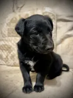 processed/d8c5a45d-9499-4f1c-b102-2b7a7618b096/listing/af7c512e-f87d-47fc-bce4-97d33993c438/f30e090a-e180-45ea-a476-3c39d32d2fd5