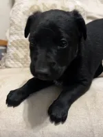 processed/d8c5a45d-9499-4f1c-b102-2b7a7618b096/listing/af7c512e-f87d-47fc-bce4-97d33993c438/fad63333-6a10-4514-81b1-7402ea2f6782