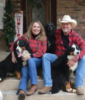 Avery, a male Bernese Mountain Dog for sale in Cameron, TX – 2 of 2