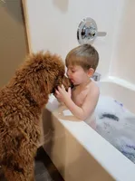 processed/d8f2c81f-09cf-4897-b9e5-9c43aa74c27d/listing/2fc9d160-edb3-4880-a856-3a66bac5174d/e61e0270-64e6-4250-b7ad-1ffcc0a4480a