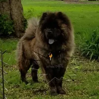 processed/d90eaf9d-a486-4142-bb0d-85541ca54c63/facility/659dadd6-51a3-4104-9c04-ff33d75ac194