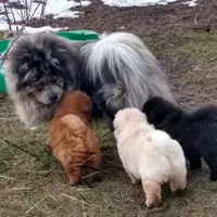 processed/d90eaf9d-a486-4142-bb0d-85541ca54c63/facility/6b380944-2b32-4baa-ad8a-0ca699084e47