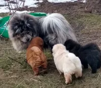 processed/d90eaf9d-a486-4142-bb0d-85541ca54c63/facility/6b380944-2b32-4baa-ad8a-0ca699084e47