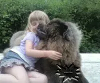 processed/d90eaf9d-a486-4142-bb0d-85541ca54c63/facility/82eee631-d241-4219-9b79-d7cd430406ae