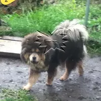 processed/d90eaf9d-a486-4142-bb0d-85541ca54c63/facility/977a0850-d956-413e-9fc1-23eff2e1d0ed