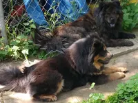 processed/d90eaf9d-a486-4142-bb0d-85541ca54c63/facility/b26a67af-7f0c-4d3b-b1fc-5d20d4ed5451