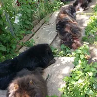 processed/d90eaf9d-a486-4142-bb0d-85541ca54c63/facility/ca97a3b2-64f6-4189-8b4c-618e2dd71155