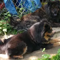 processed/d90eaf9d-a486-4142-bb0d-85541ca54c63/facility/e39e087f-308a-4ba0-89c0-4cb71d5cf831