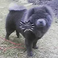 processed/d90eaf9d-a486-4142-bb0d-85541ca54c63/facility/f3e72f0c-ea7d-4820-9fef-4bb2b276f003