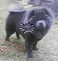 processed/d90eaf9d-a486-4142-bb0d-85541ca54c63/facility/f3e72f0c-ea7d-4820-9fef-4bb2b276f003