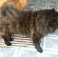 processed/d90eaf9d-a486-4142-bb0d-85541ca54c63/listing/576d9e11-fa98-4aae-8d10-59815b8224cf/1bbbcd95-c3ff-4a7d-b8c3-06206e453591