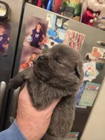 processed/d90eaf9d-a486-4142-bb0d-85541ca54c63/listing/576d9e11-fa98-4aae-8d10-59815b8224cf/c2f12d5b-bf81-4d5b-b79f-ec360674d2ec