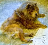 processed/d90eaf9d-a486-4142-bb0d-85541ca54c63/listing/576d9e11-fa98-4aae-8d10-59815b8224cf/c89bc1e6-0011-4704-a213-20db894f240f