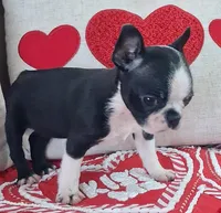 processed/d90fffab-aaaf-4365-9fa1-00acb8f966b9/listing/4bd27643-580f-4bf3-b03b-b68cad51eee3/18944af1-b477-49be-8546-a7a2d1164633