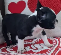 processed/d90fffab-aaaf-4365-9fa1-00acb8f966b9/listing/4bd27643-580f-4bf3-b03b-b68cad51eee3/77b8f301-8985-4be8-aa09-3d178f5625e8