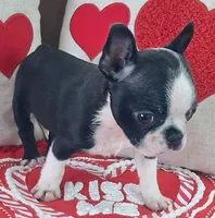 processed/d90fffab-aaaf-4365-9fa1-00acb8f966b9/listing/4bd27643-580f-4bf3-b03b-b68cad51eee3/ac193a70-351c-4275-b48b-9aa916862f74